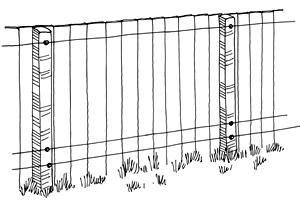 Drawing of a fence with electric wires at the top and bottom.