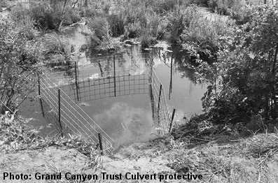 culvert protective fence