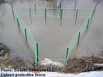 culvert protective fence