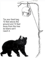 Bear safe camping
