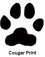 Cougar Paw Print