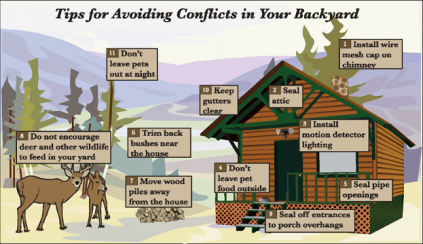 Tips for Avoiding Conflicts in Your Backyard